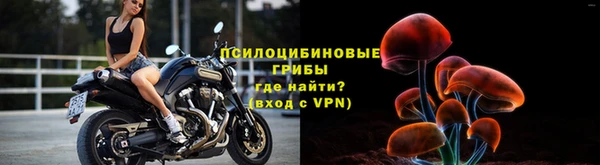 хмурый Верея