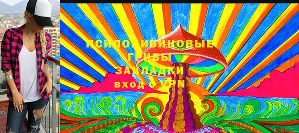 хмурый Верея