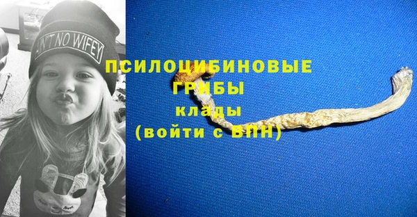 хмурый Верея