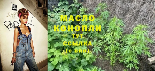 хмурый Верея