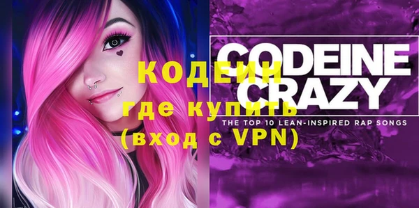 хмурый Верея
