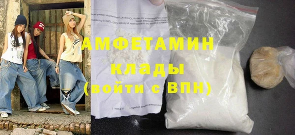 хмурый Верея