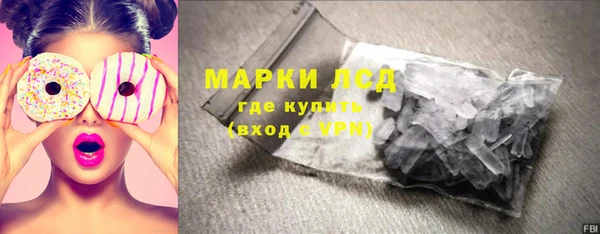 хмурый Верея