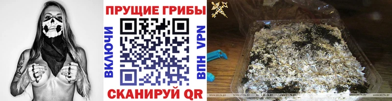Галлюциногенные грибы мухоморы  цена   Грозный 